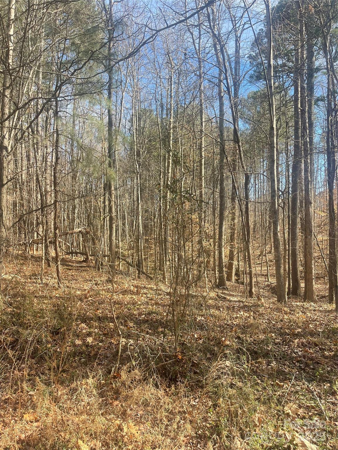 00 Rutan Court Property Photo 3