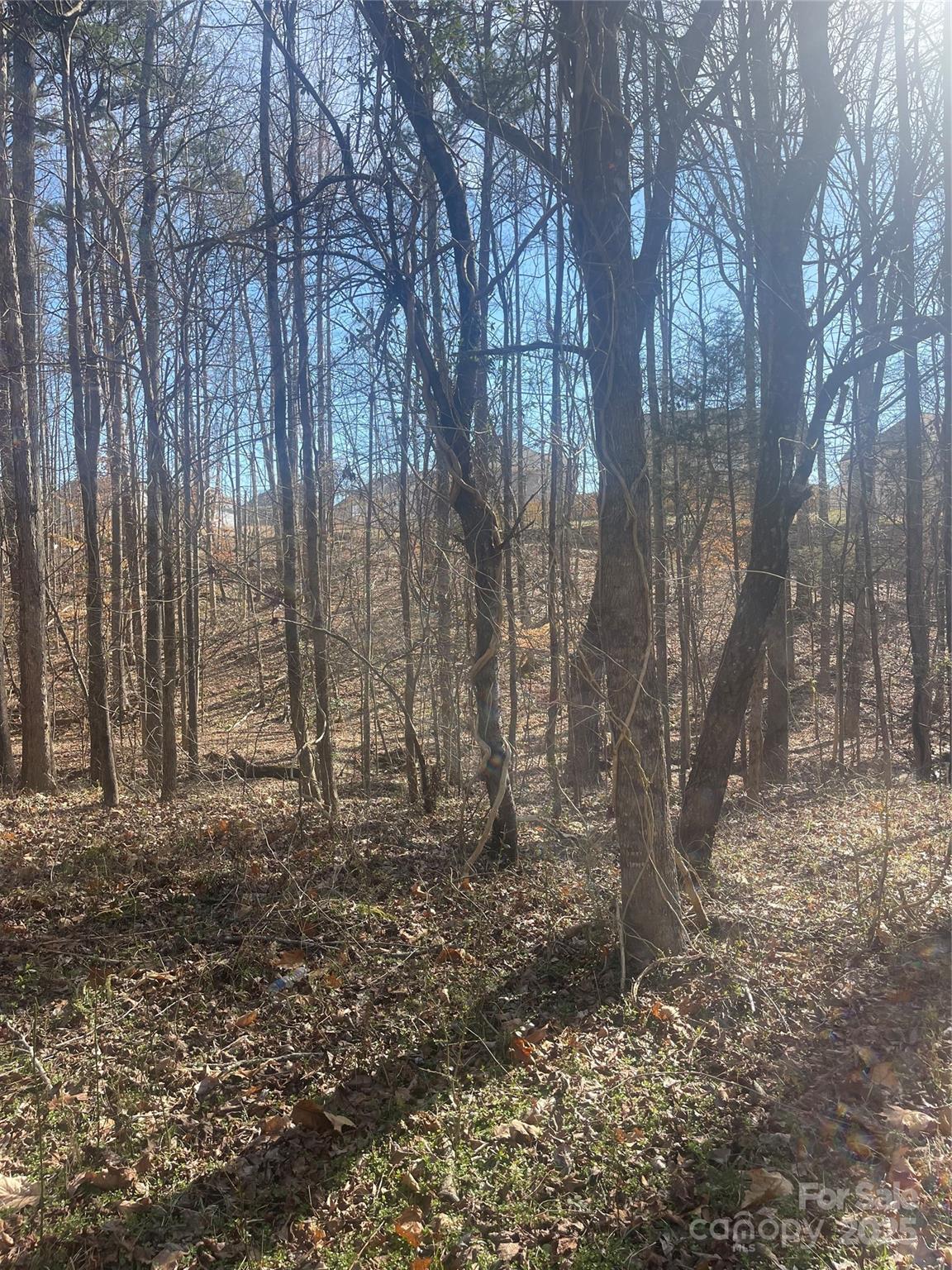 00 Rutan Court Property Photo 8