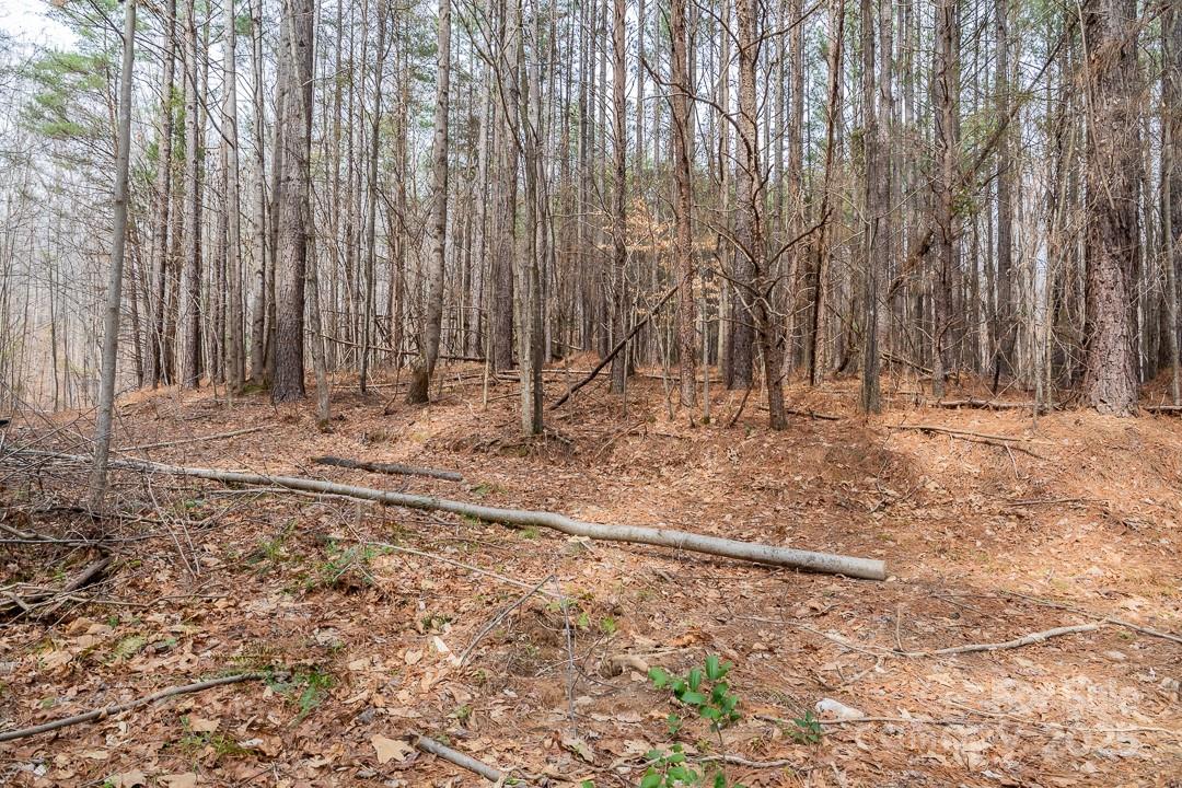 179 Windingwood Drive Property Photo 3