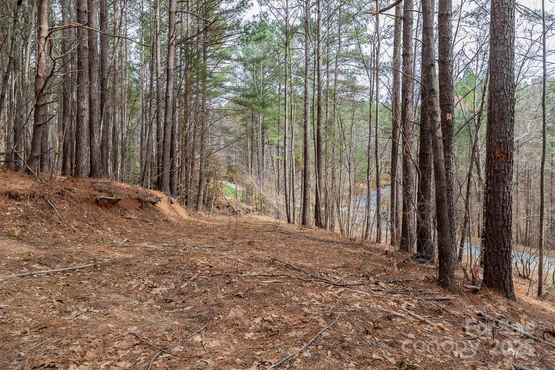 179 Windingwood Drive Property Photo 4