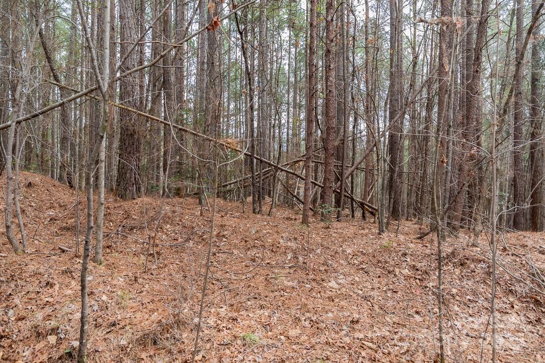 179 Windingwood Drive Property Photo 6