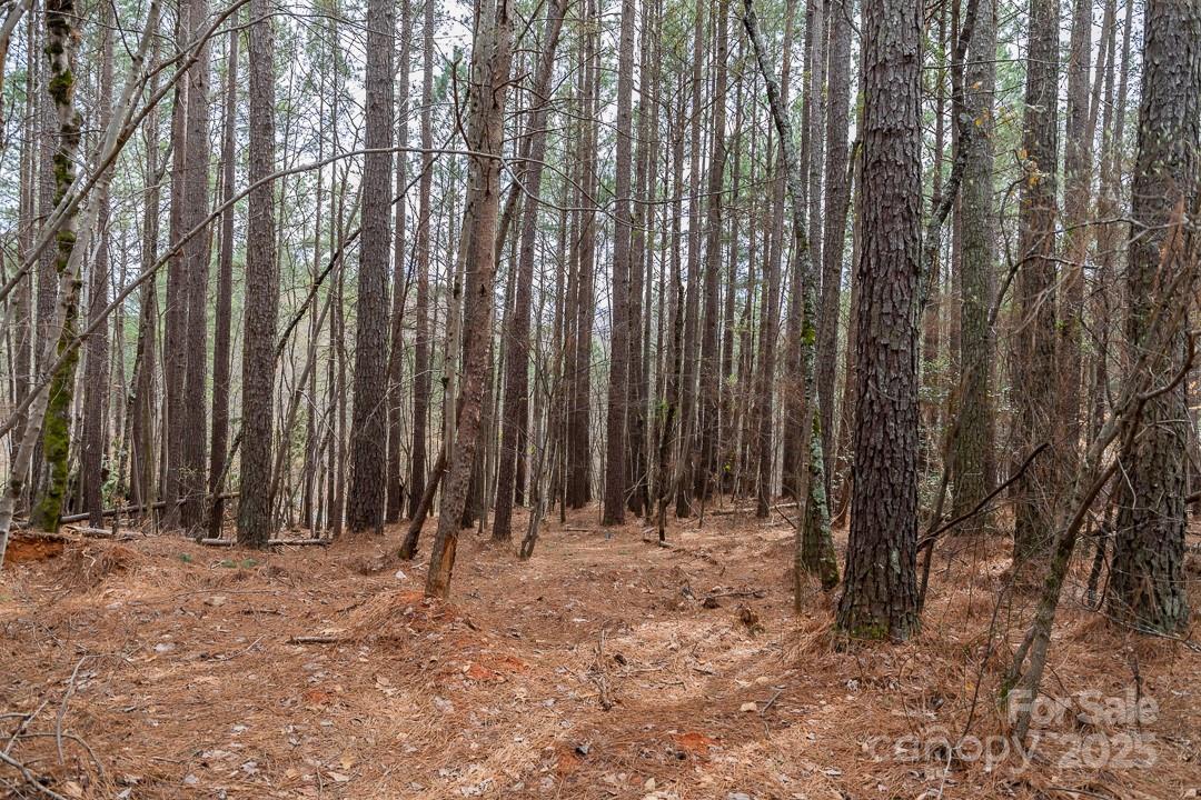 179 Windingwood Drive Property Photo 7