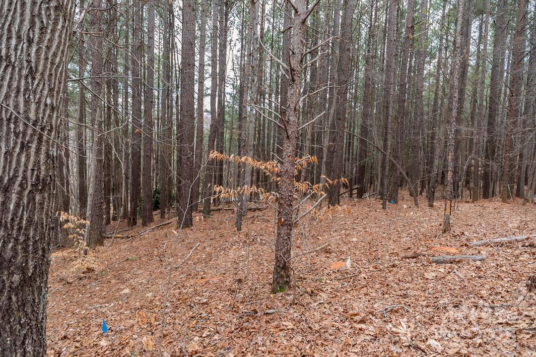 179 Windingwood Drive Property Photo 8