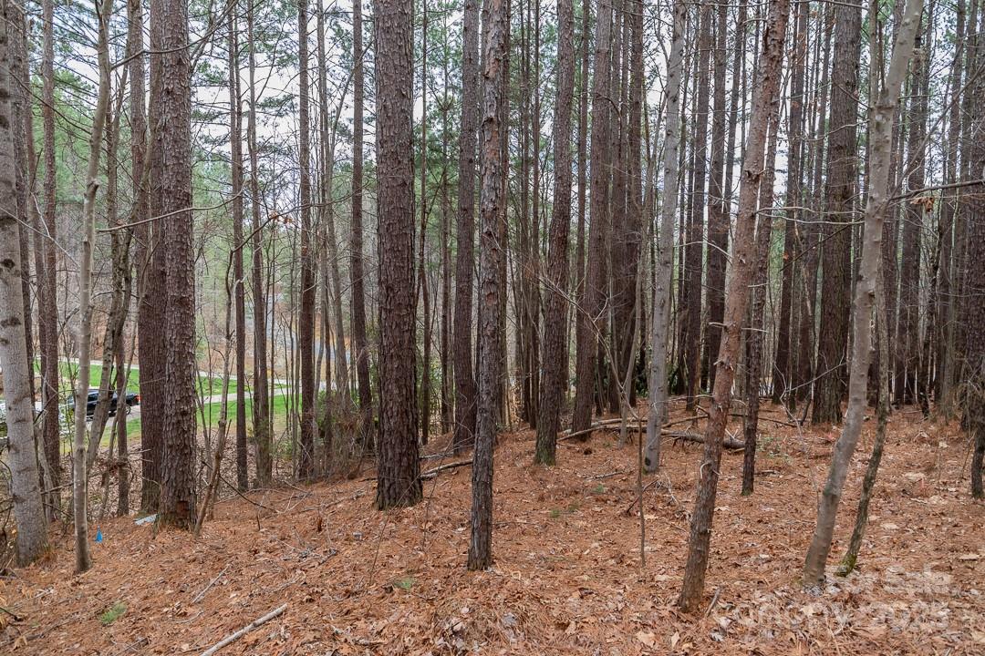 179 Windingwood Drive Property Photo 10