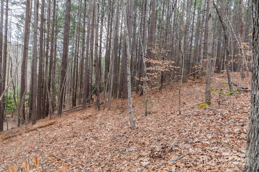 179 Windingwood Drive Property Photo 11