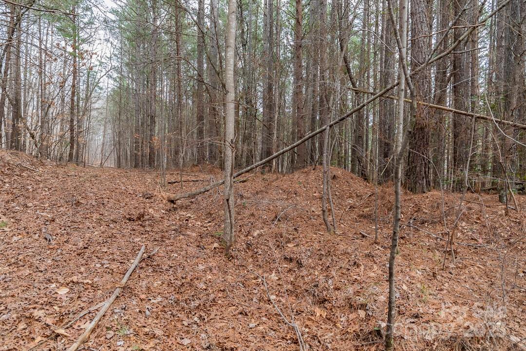 179 Windingwood Drive Property Photo 18