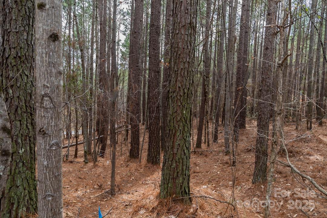 179 Windingwood Drive Property Photo 20