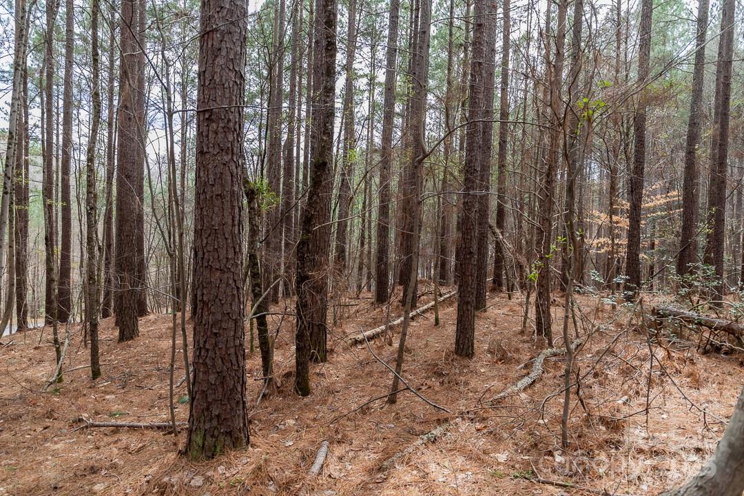 179 Windingwood Drive Property Photo 21