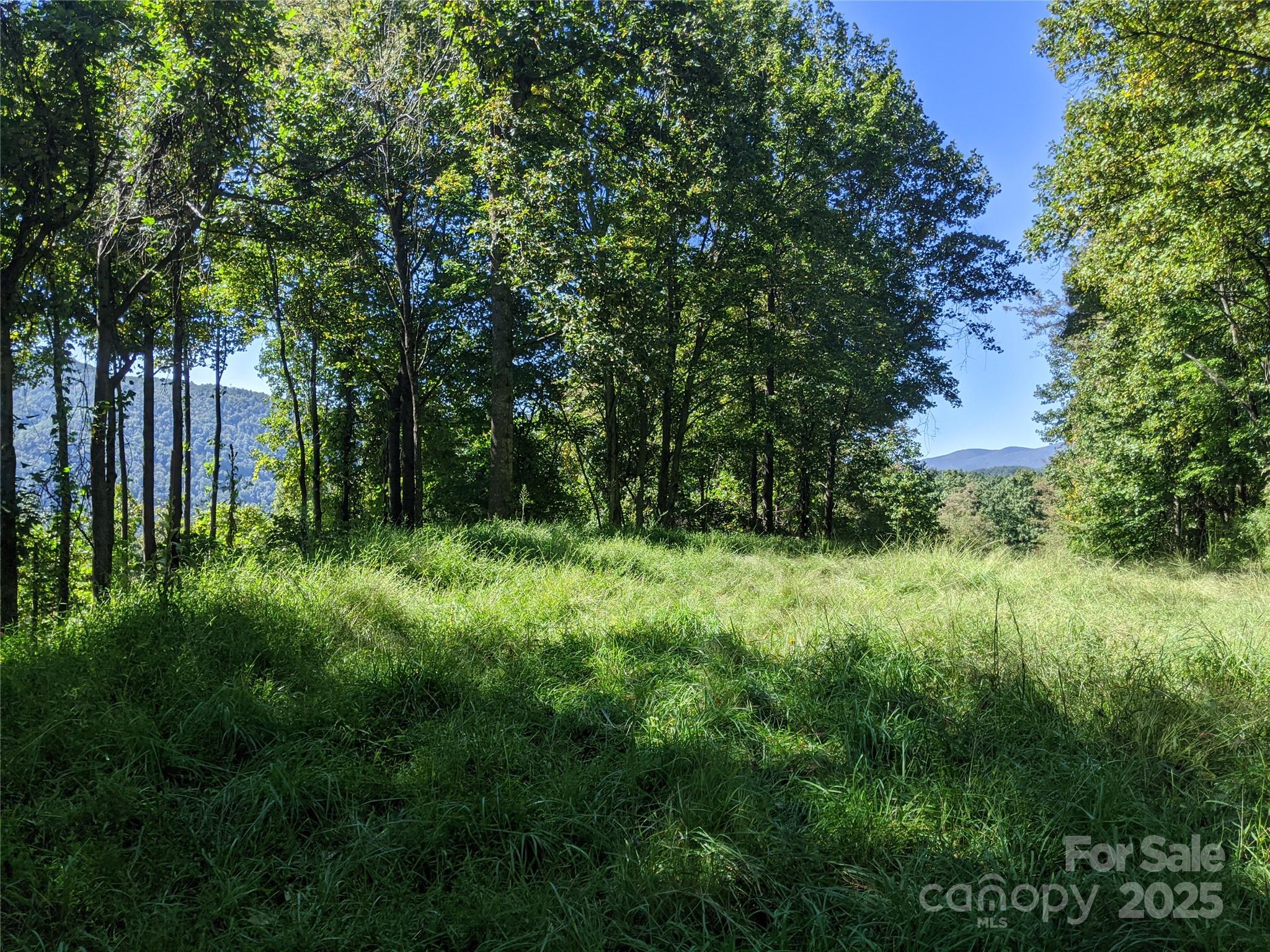 501 Warbler Lane T-62 Property Photo 13