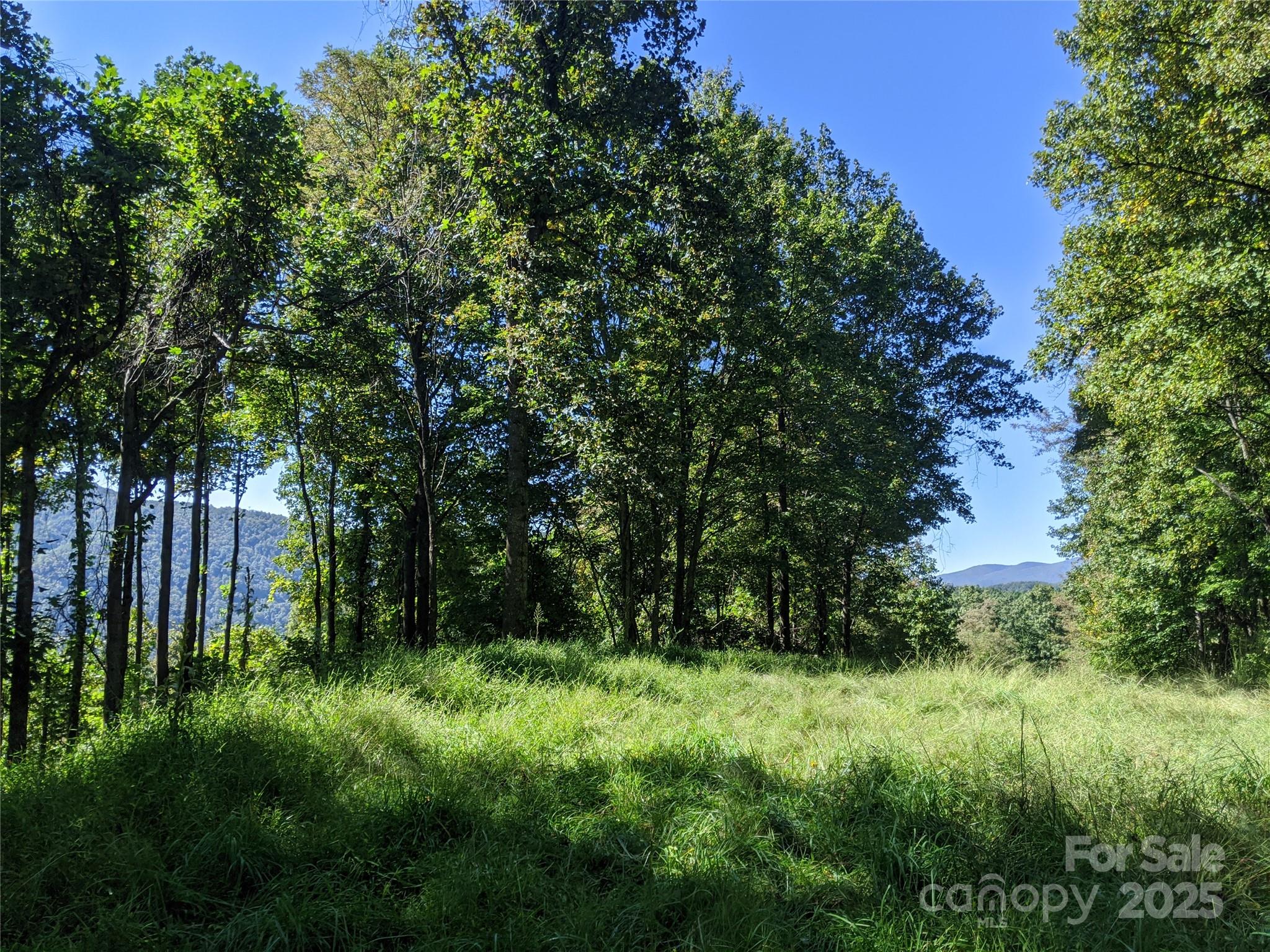 501 Warbler Lane T-62 Property Photo 14