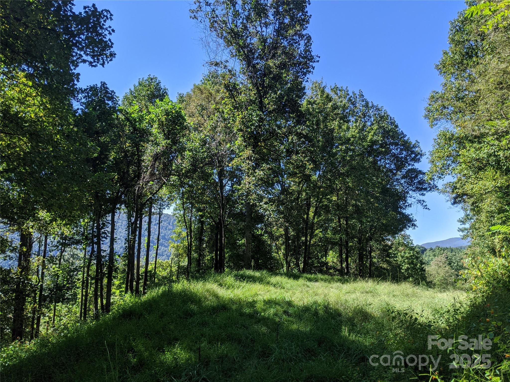 501 Warbler Lane T-62 Property Photo 15