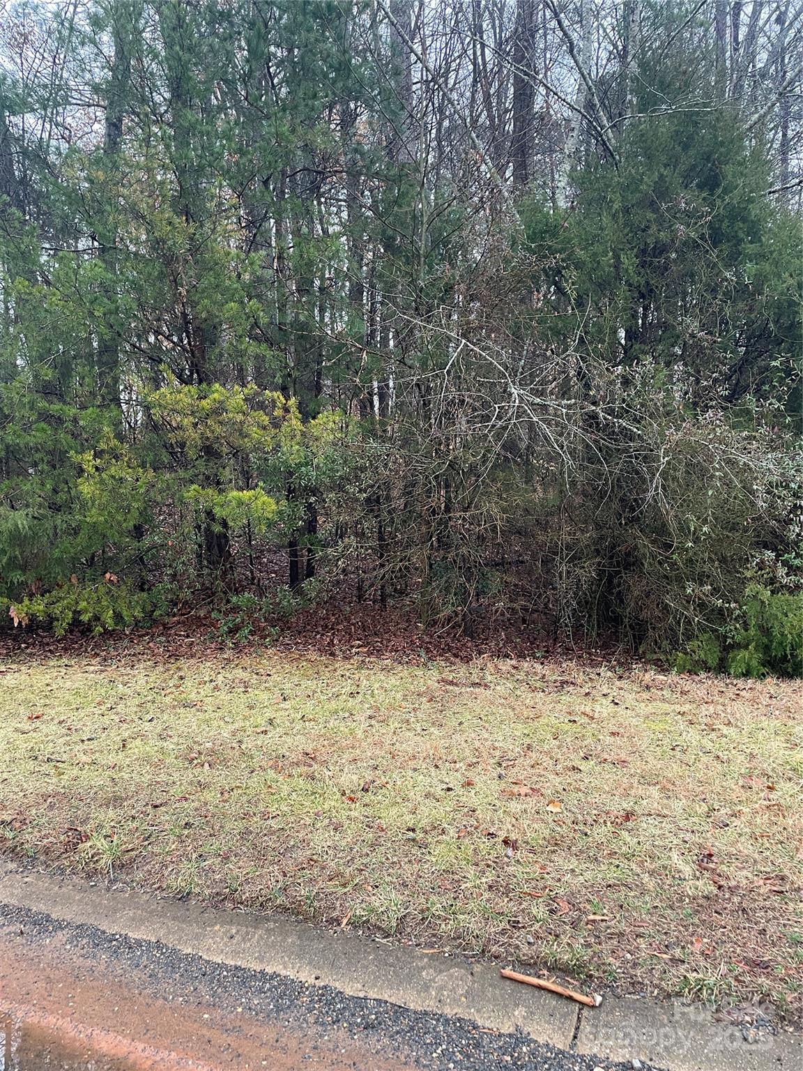 405 Laurel Valley Way Property Photo