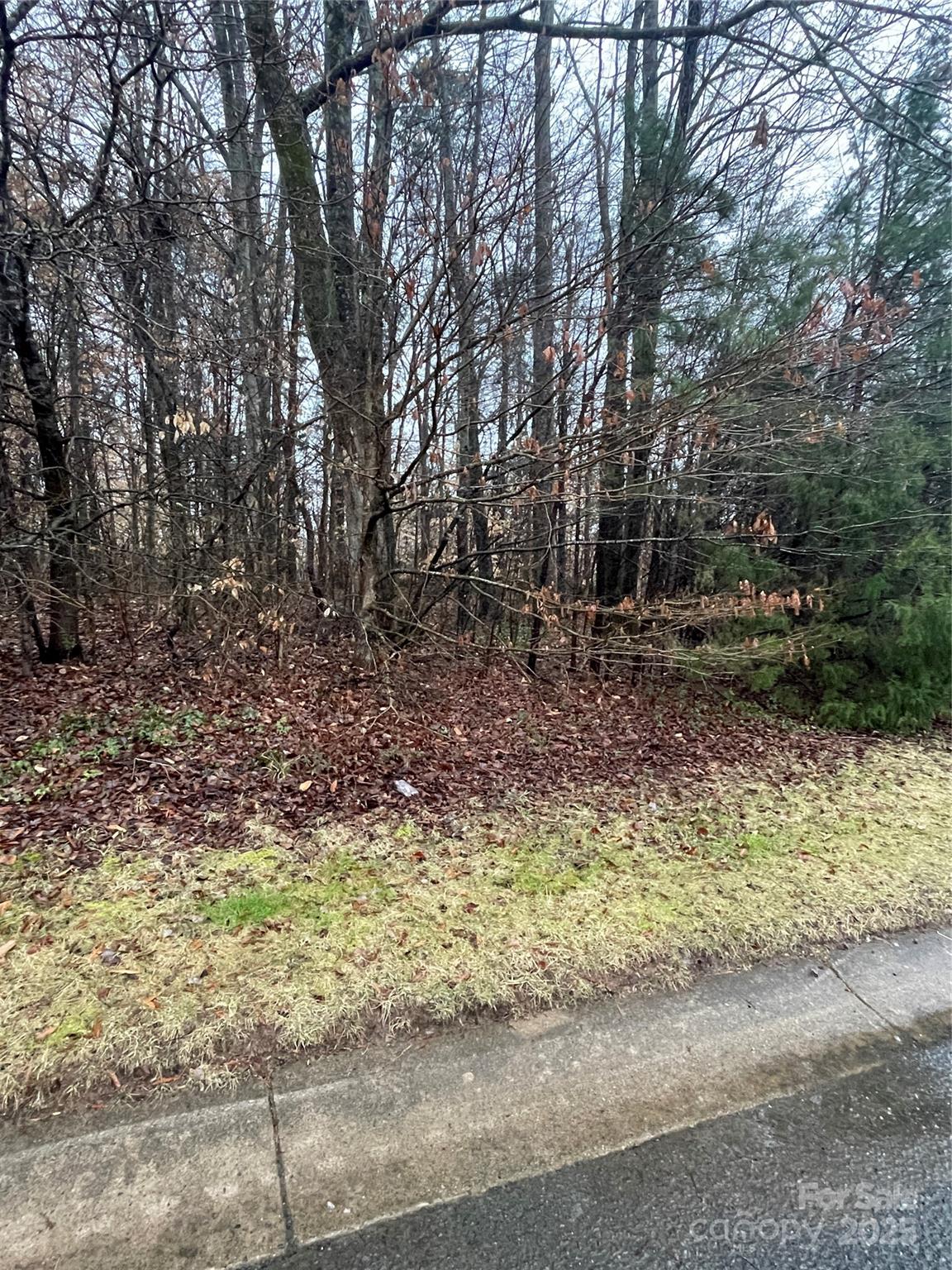 405 Laurel Valley Way Property Photo 2
