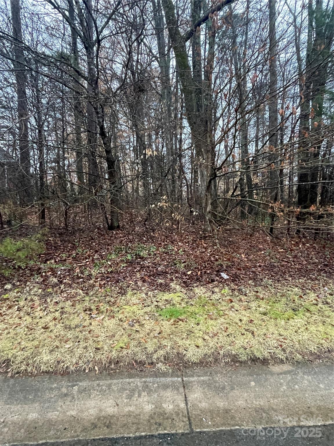 405 Laurel Valley Way Property Photo 3
