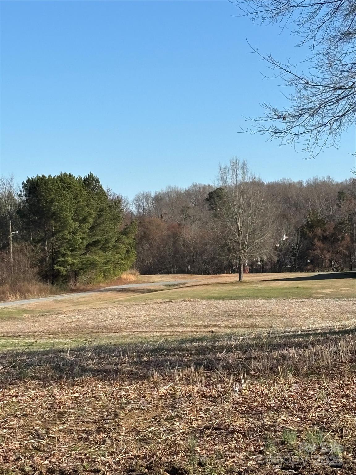 1124 Mcintyre Road Property Photo 3