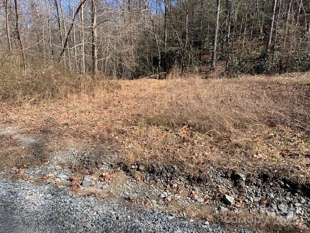 10.01 Ac Pleasant Grove Road Tract 3 Property Photo 1