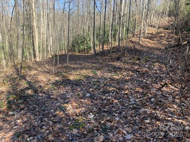 10.01 Ac Pleasant Grove Road Tract 3 Property Photo 2