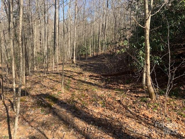 10.01 Ac Pleasant Grove Road Tract 3 Property Photo 3