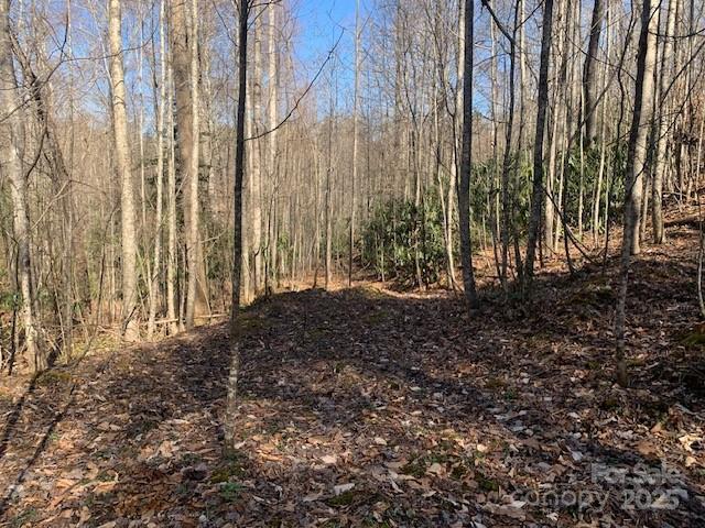 10.01 Ac Pleasant Grove Road Tract 3 Property Photo 4