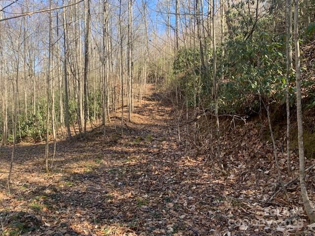 10.01 Ac Pleasant Grove Road Tract 3 Property Photo 5