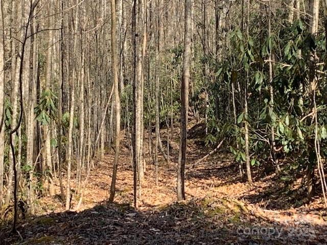 10.01 Ac Pleasant Grove Road Tract 3 Property Photo 6