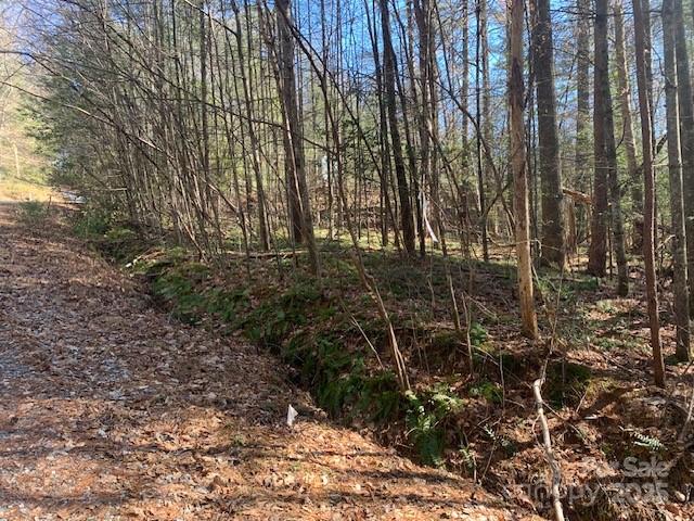 Tract 4 Justus View Road Tract 4 Property Photo 5