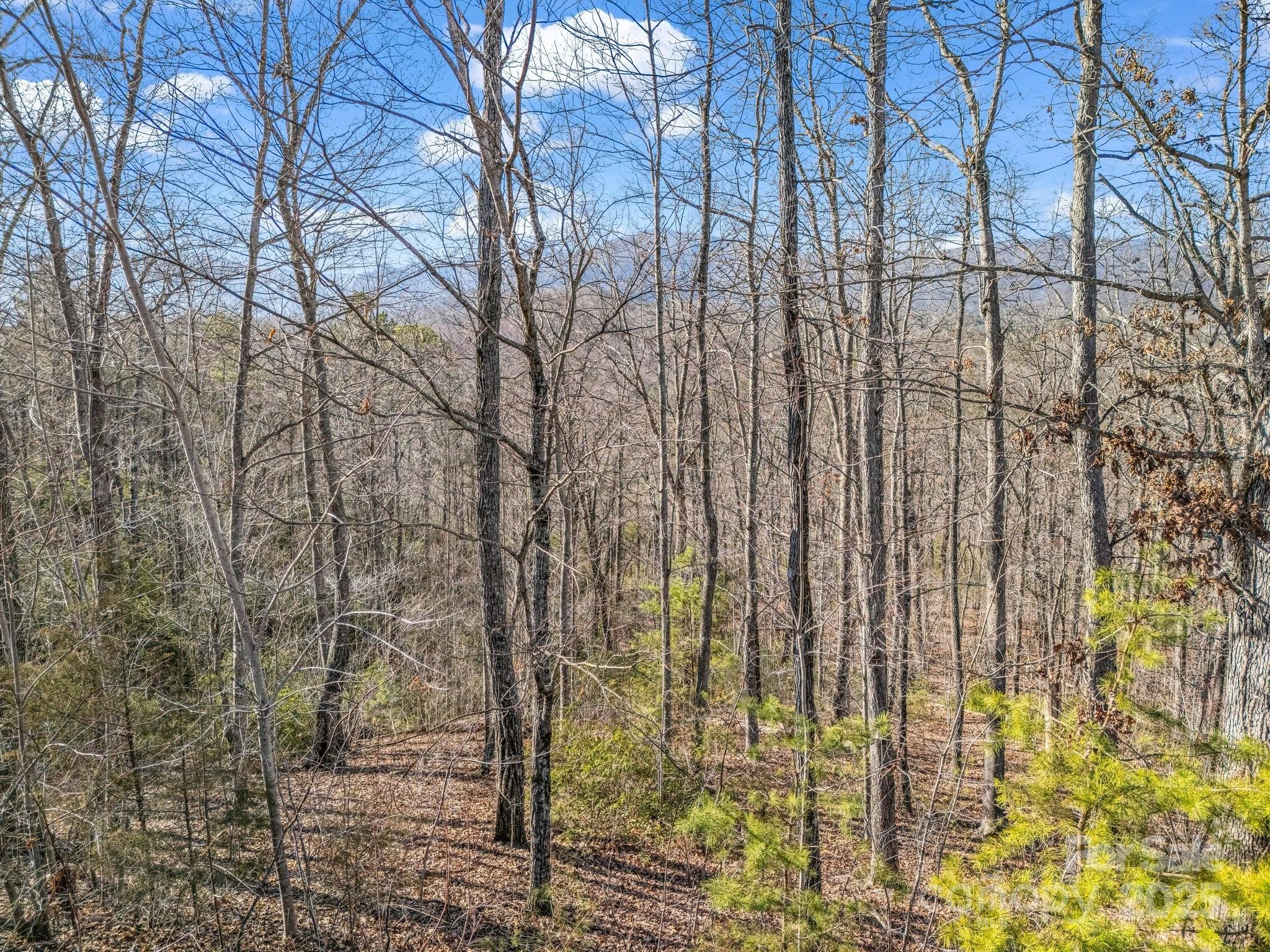 0 Golden Ridge Drive Property Photo
