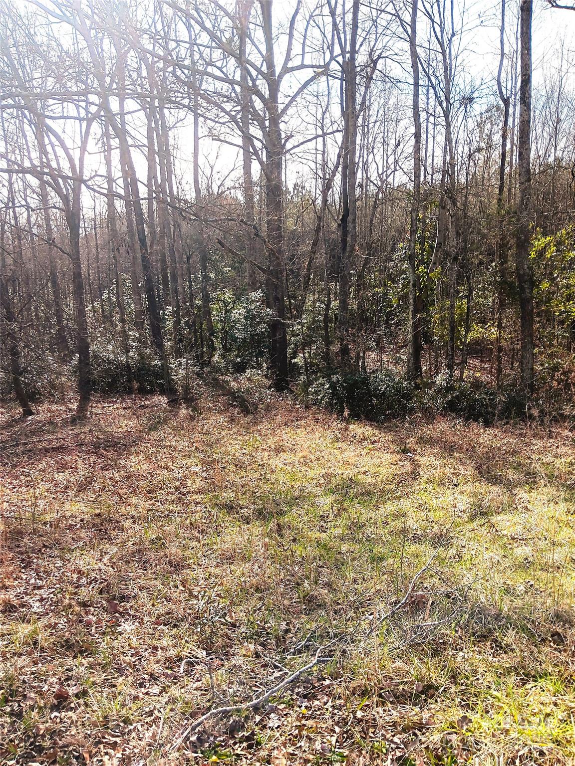 000 Oak Street Property Photo 2