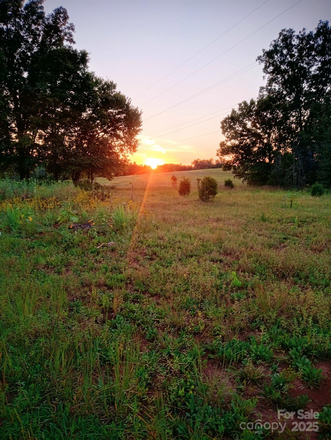 502 Jim Bell Road Property Photo 5