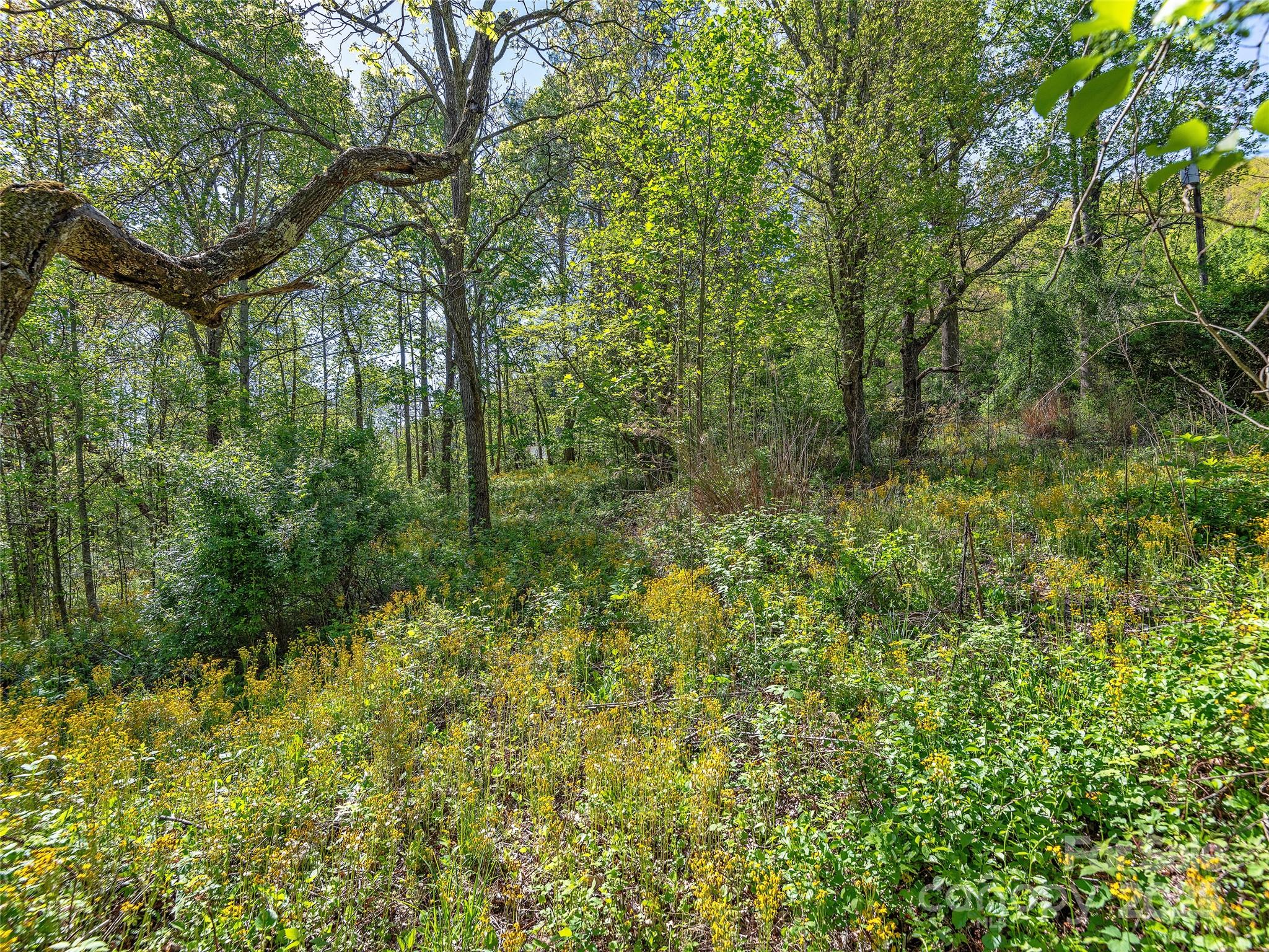 99999 Bob Barnwell Road Property Photo
