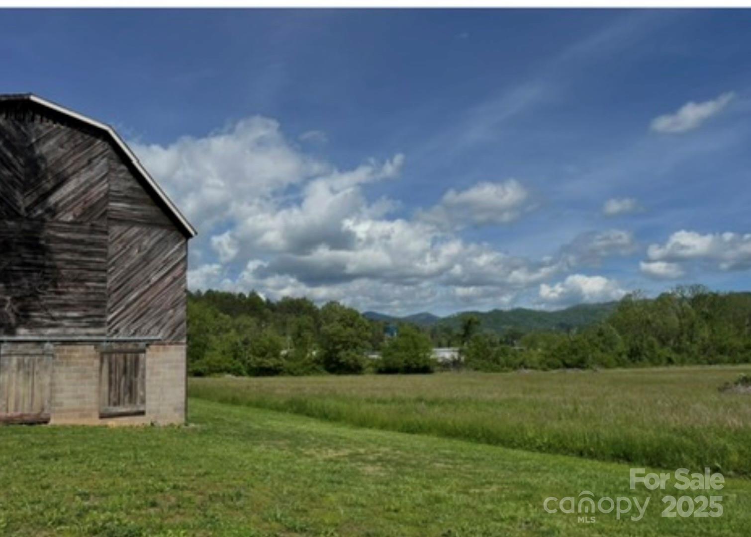143 Reems Creek Road Property Photo 4