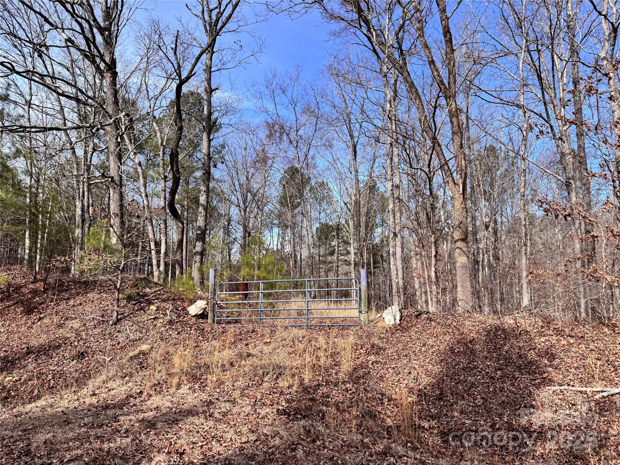 0 Holly Lane Property Photo