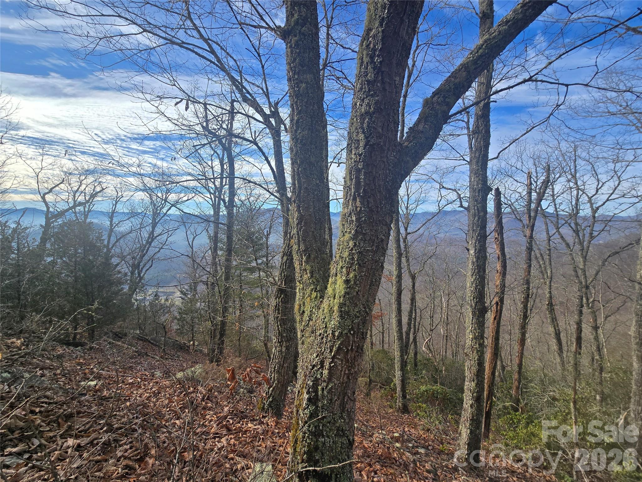 0000 Black Mountain Road 52 Property Photo 2