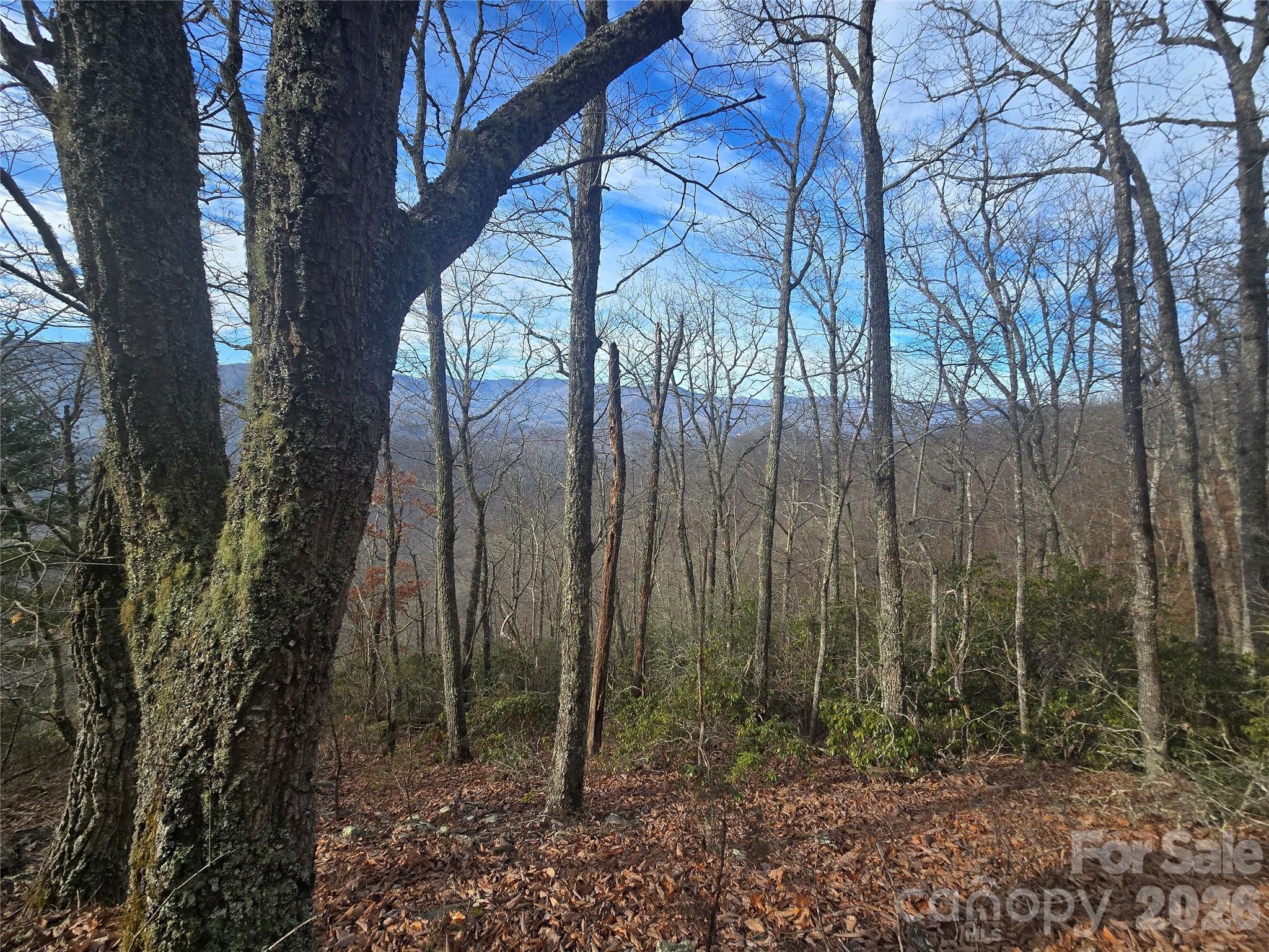0000 Black Mountain Road 52 Property Photo 3