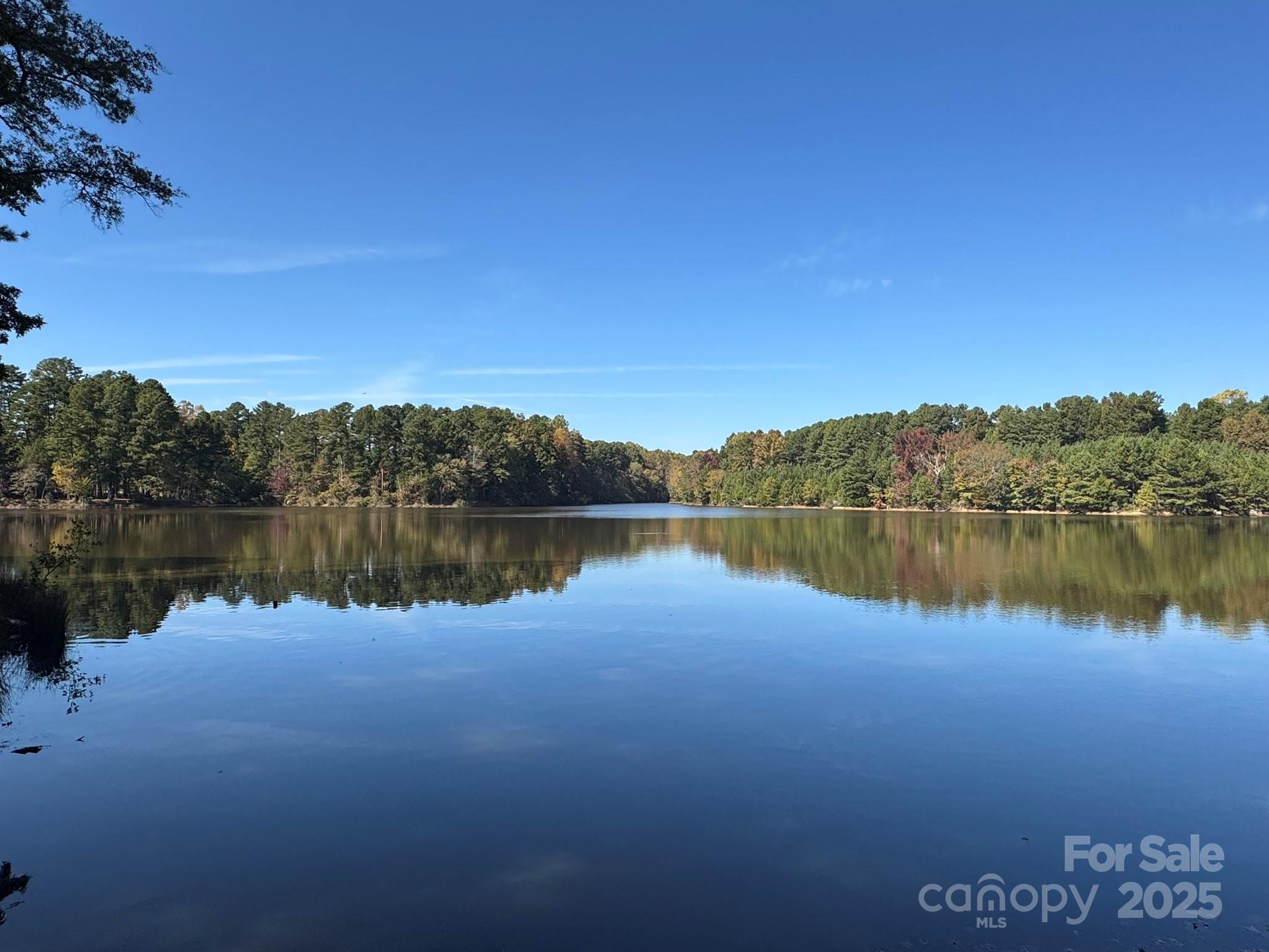 13828 Lake Bluff Drive Property Photo