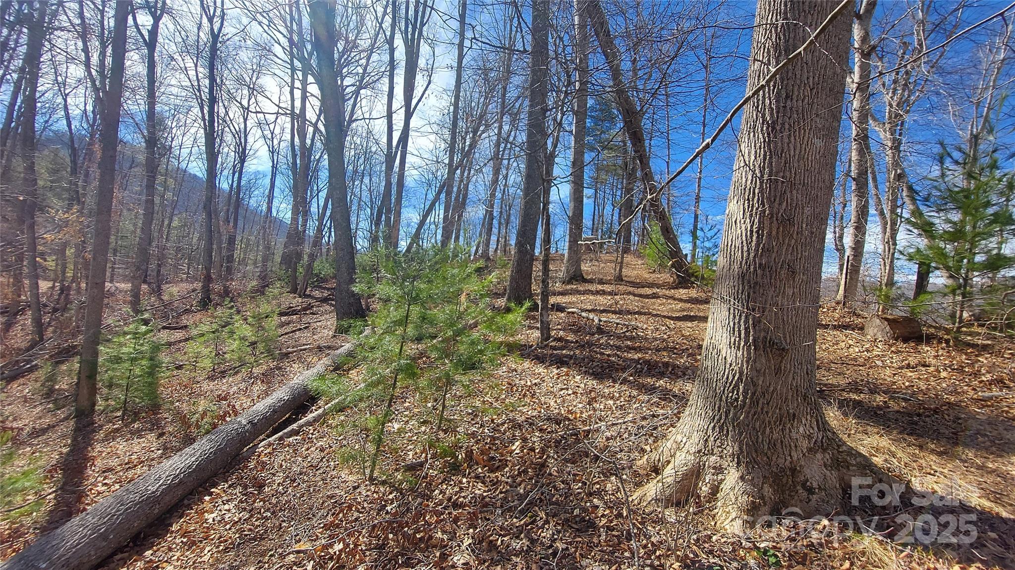 103 Barn Road Property Photo 2