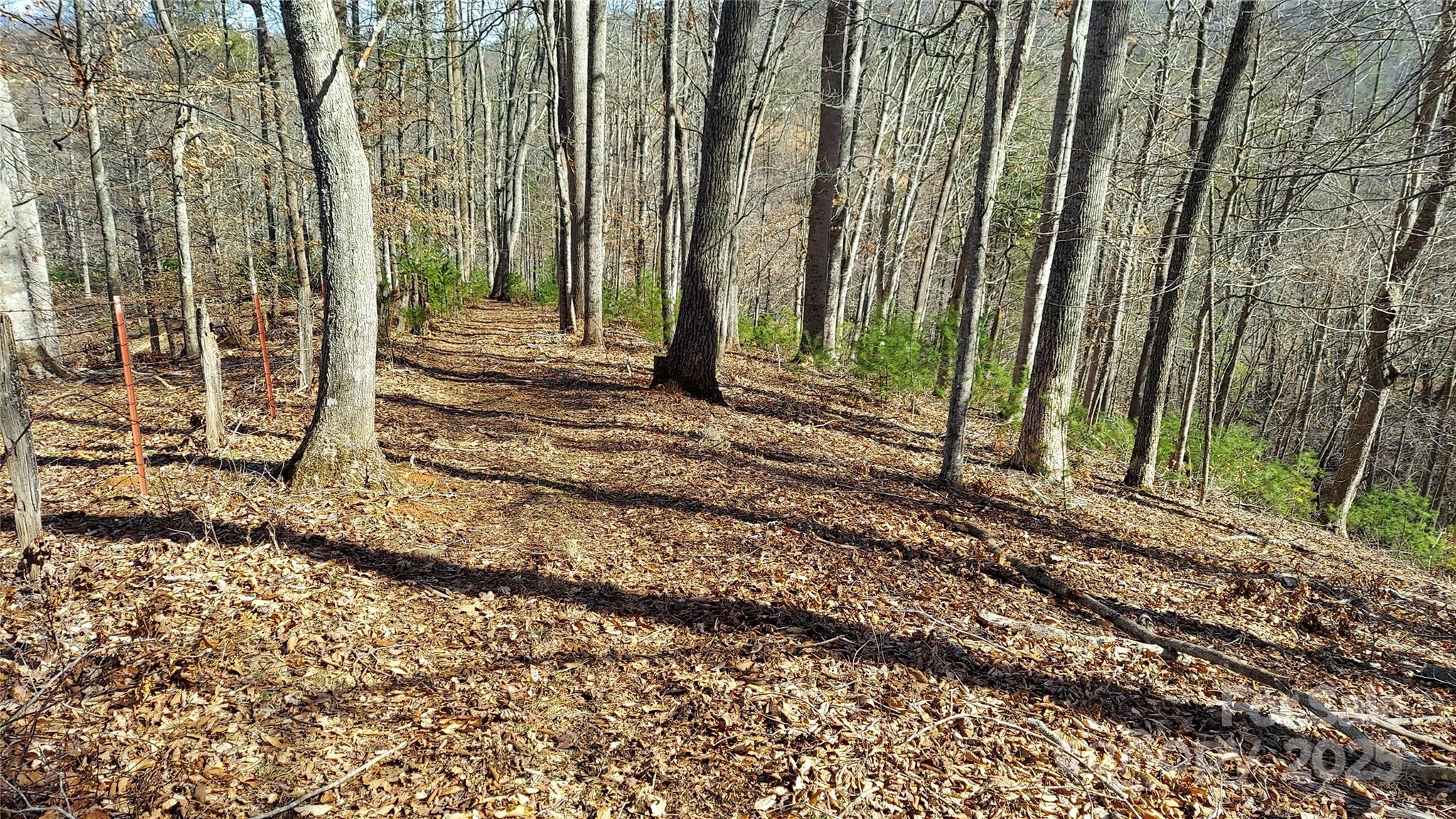 103 Barn Road Property Photo 3