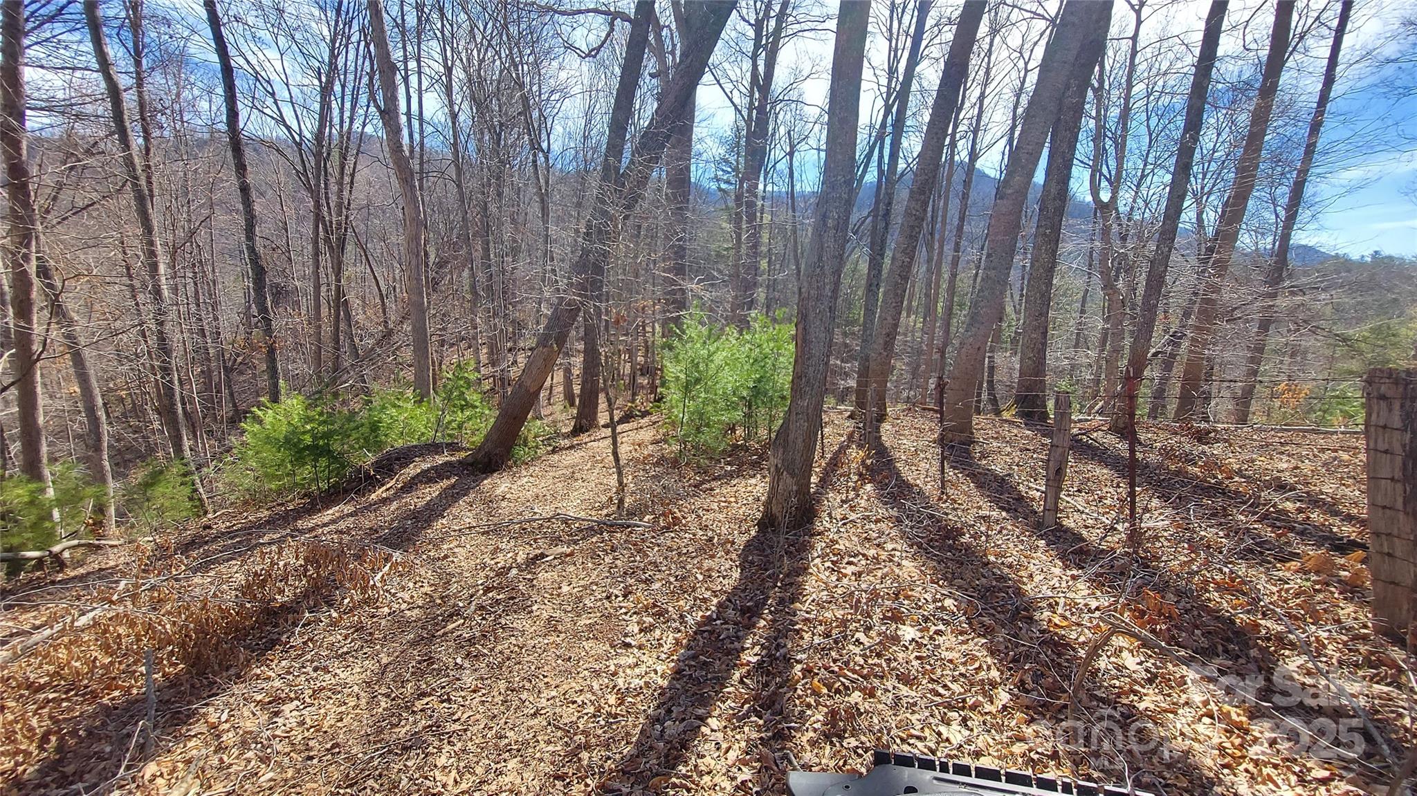 103 Barn Road Property Photo 4