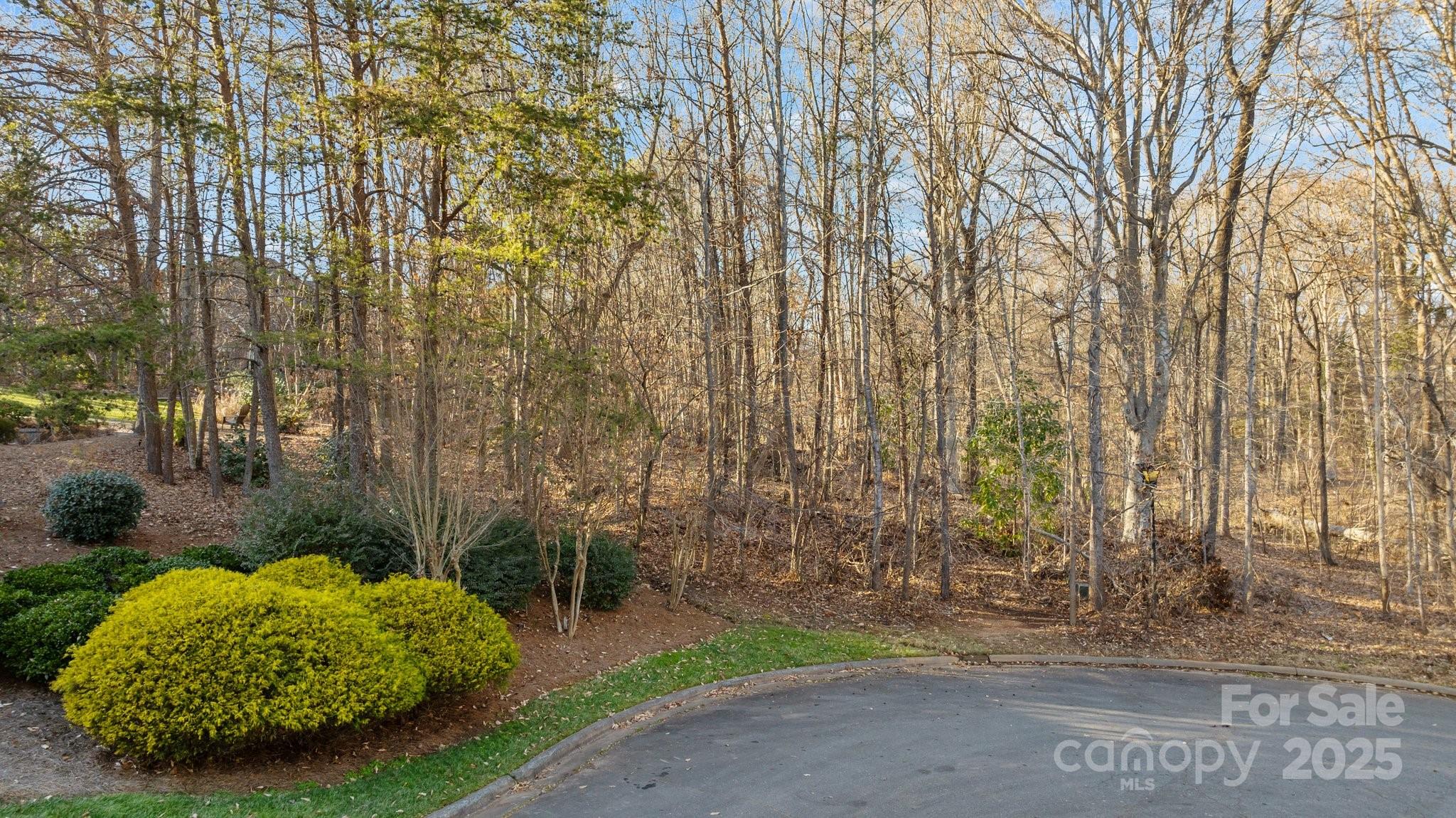 000 Augusta Court Property Photo 4