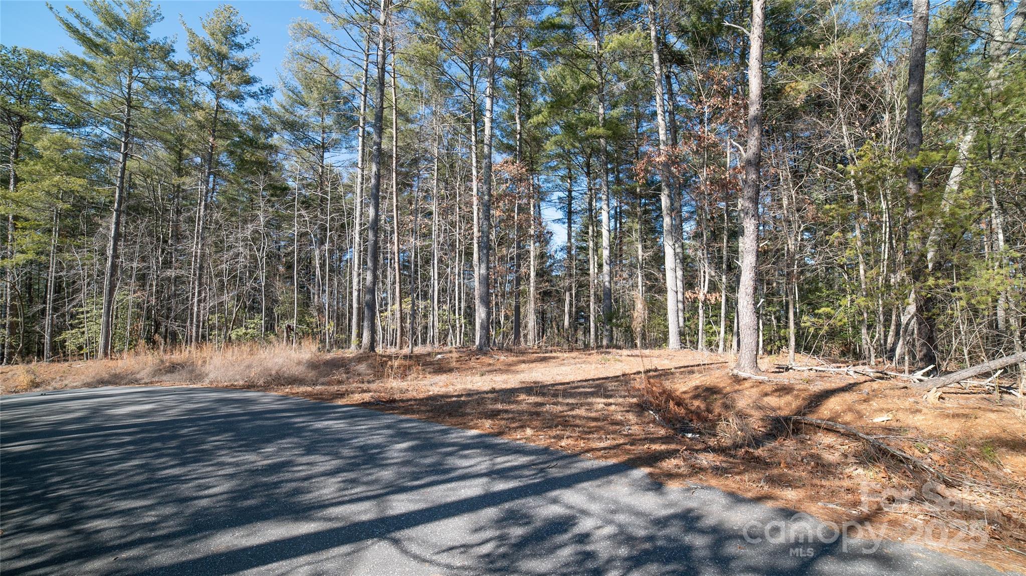 1156 Campbells Trace 64 Property Photo 28