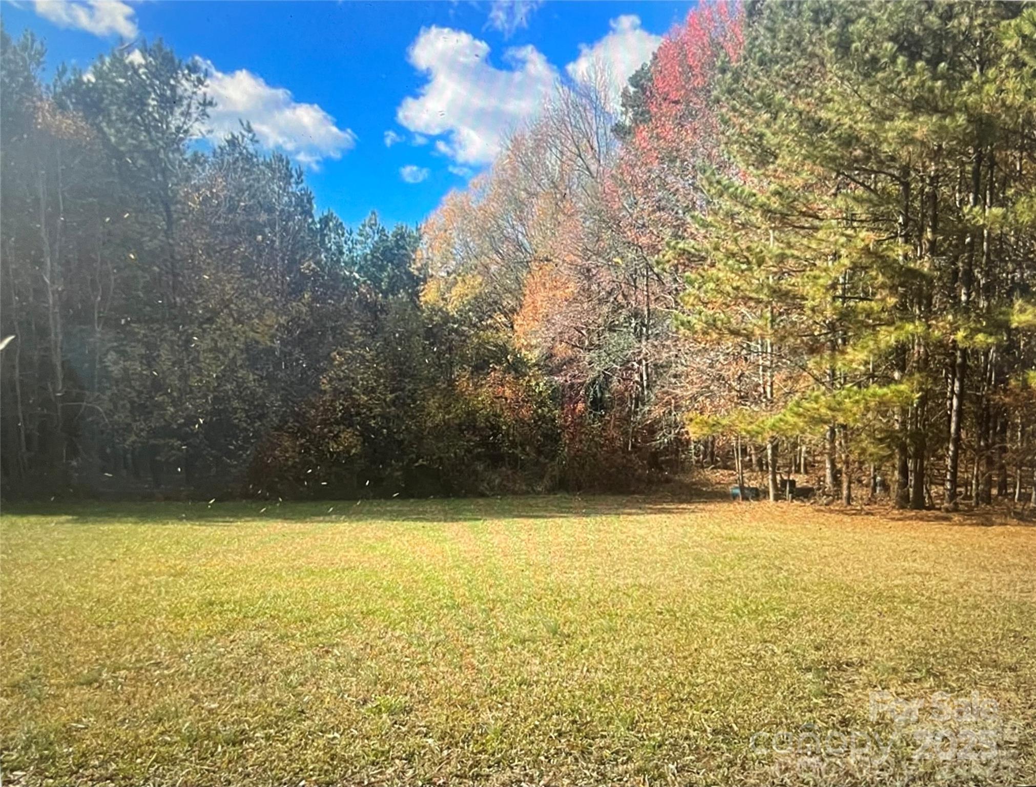 14818 Hooks Road Property Photo 3