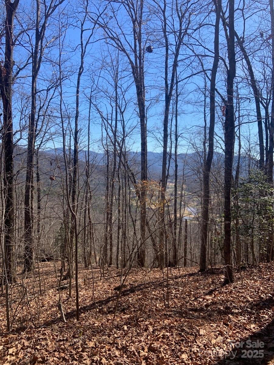 00 Ashe Branch View 66j Property Photo