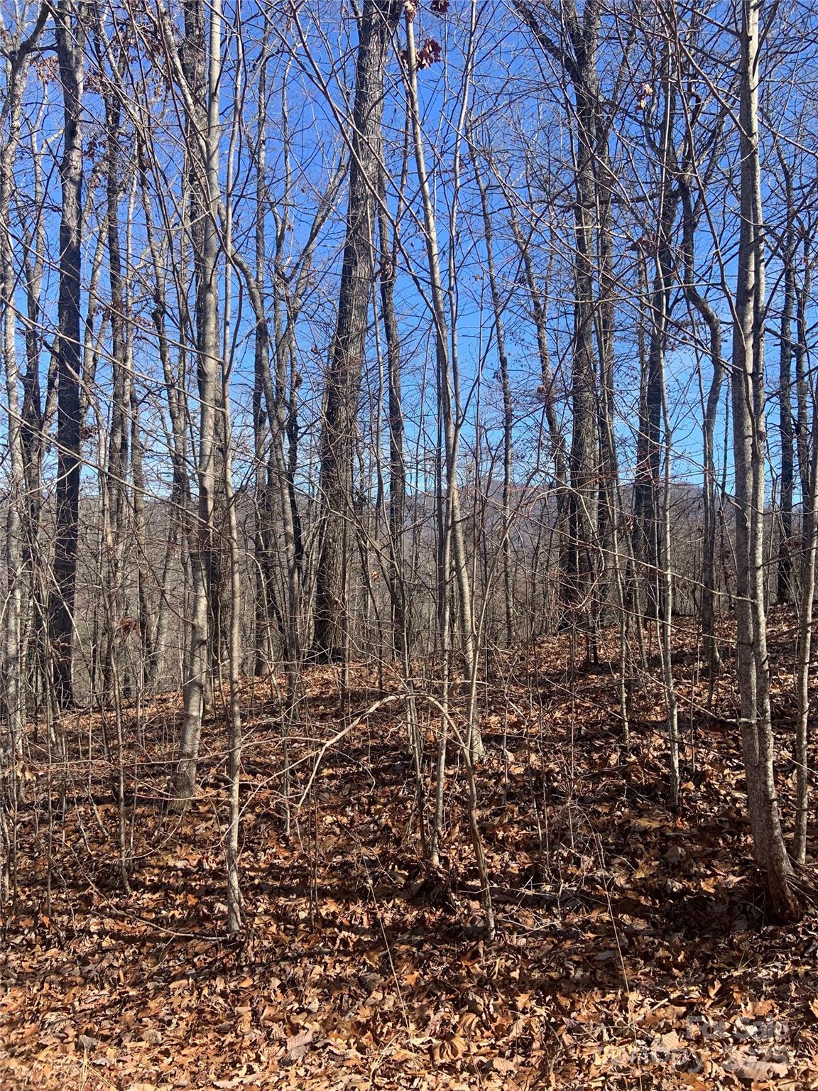 Tbd Ashe Branch View 66j Property Photo 3