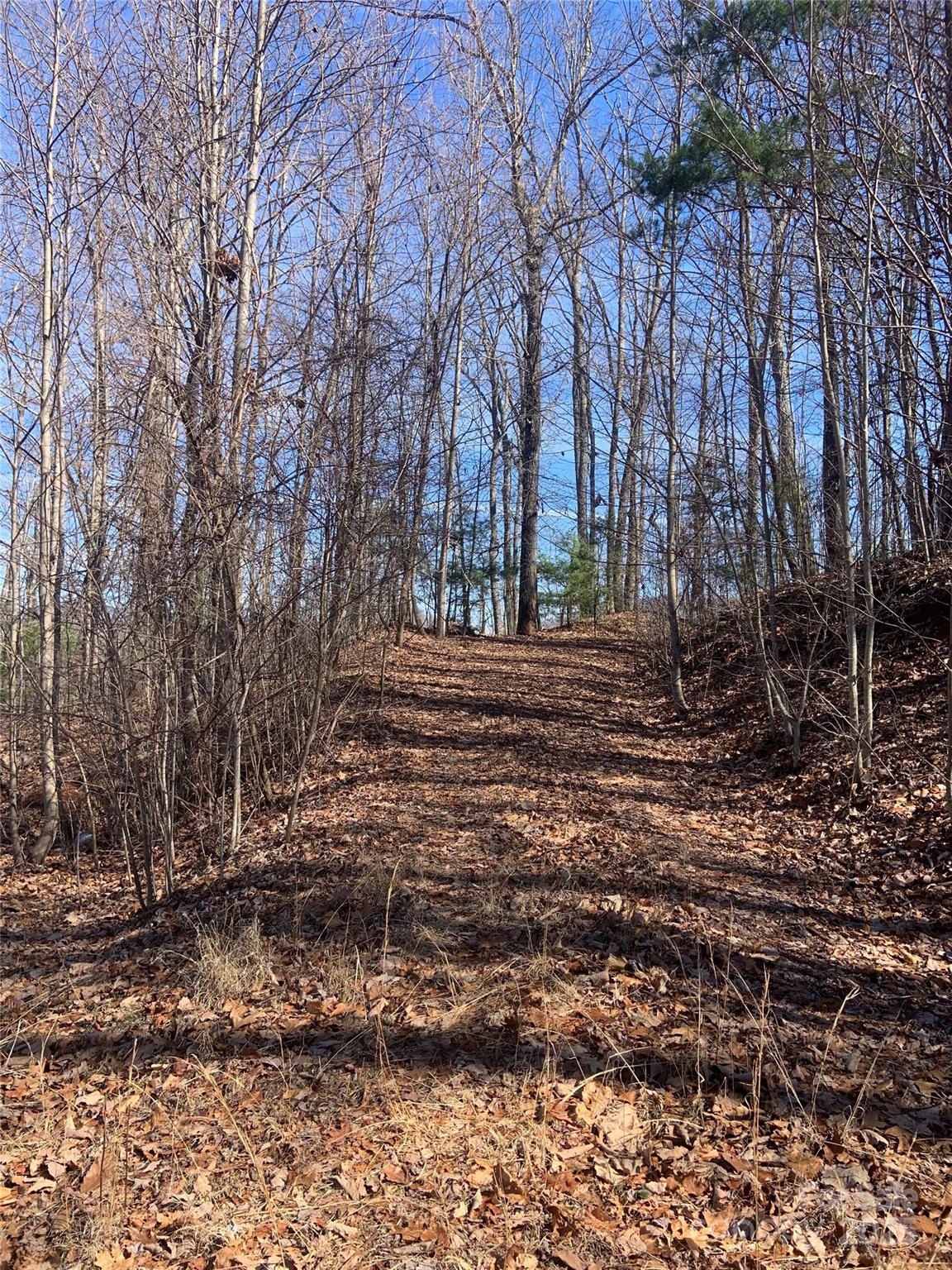 Tbd Ashe Branch View 66j Property Photo 5