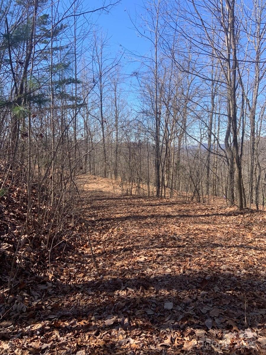 Tbd Ashe Branch View 66j Property Photo 6