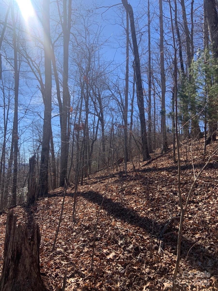Tbd Ashe Branch View 66j Property Photo 8