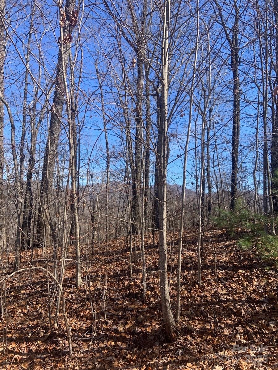 Tbd Ashe Branch View 66j Property Photo 9