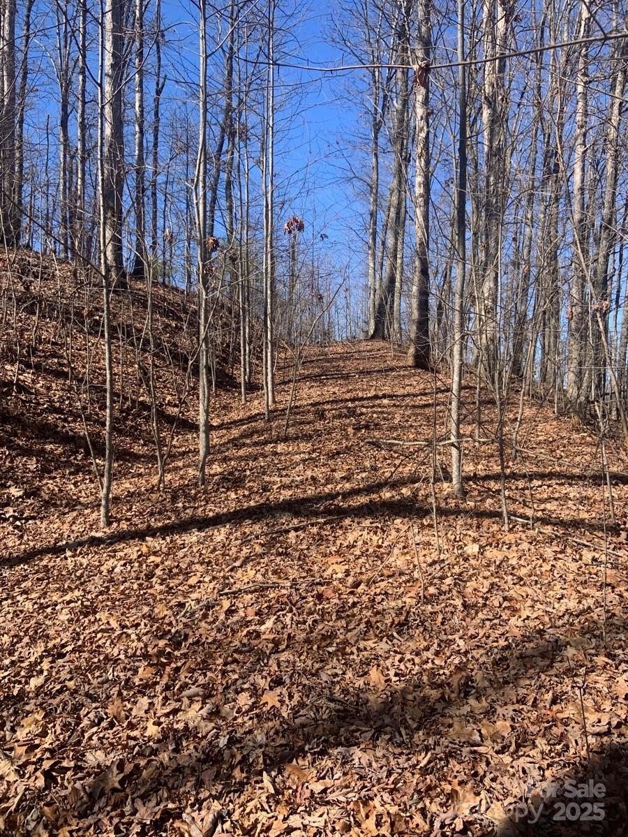 Tbd Ashe Branch View 66j Property Photo 10