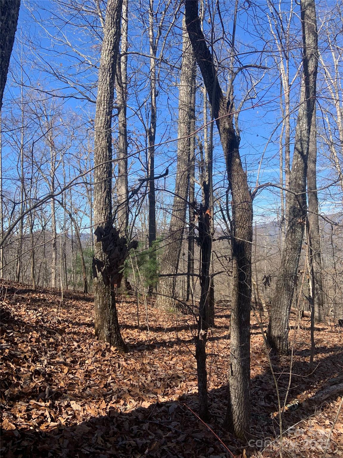 Tbd Ashe Branch View 66j Property Photo 12
