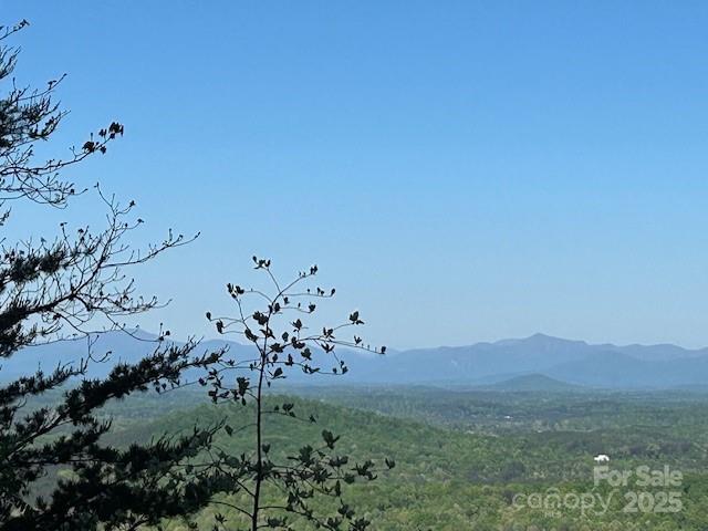 0 Arbra Mountain Way Property Photo 2